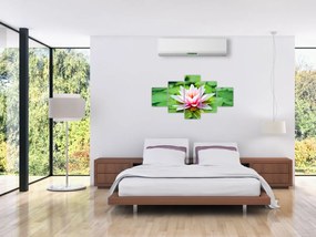 Obraz lilii wodnej na powierzchni (125x70 cm)