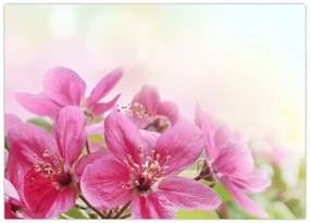 Obraz na szkle - Różowe kwiaty (70x50 cm)