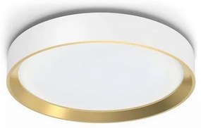 Philips HANNO LED 24W 230V 2700K białe ściemnialne oświetlenie sufitowe