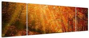 Obraz jesiennego lasu (170x50 cm)