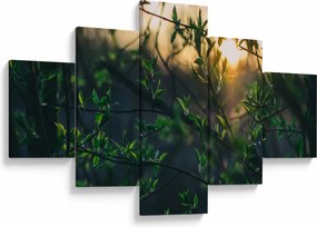 Obraz słońca przeświecającego przez gałęzie drzew (125x70 cm)