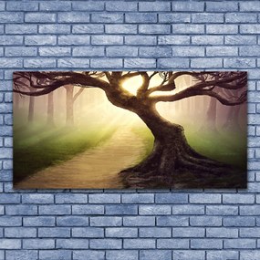 Obraz canvas na ścianę Promienie Słońca w Koronie Drzewa