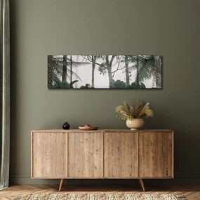 Obraz - dżungla w porannej mgle (170x50 cm)