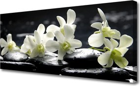 Obraz na płótnie Równowaga: Kwiat i Skała