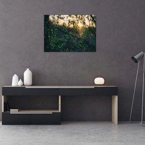 Obraz słońca przeświecającego przez gałęzie drzew (70x50 cm)
