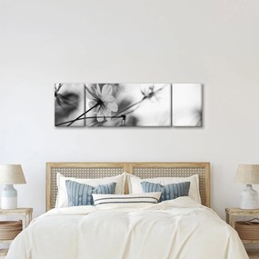 Obraz - Czarno - białe kwiaty (170x50 cm)