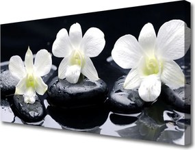 Obraz na płótnie Orchidea w Kompozycji Zen