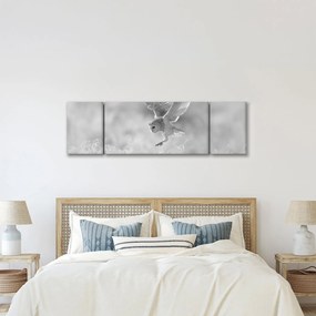 Obraz - Sowa na polu (170x50 cm)