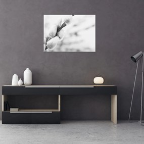 Obraz na szkle - Początek wiosny (70x50 cm)