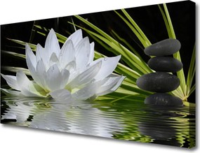 Obraz drukowany na płótnie Harmonijne Lilie na Stawie