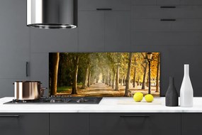 Panel Szklany do Kuchni Romantyczna Parkowa Alejka