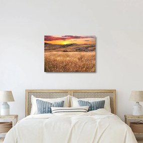 Obraz na szkle - pole (70x50 cm)
