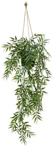 Bambus wiszący w doniczce LIORA, 67 cm
