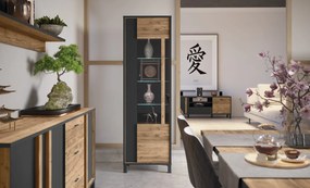 Wąska witryna w stylu industrialnym Hayato 711