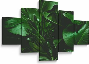 Obraz - Liście palmowe (125x70 cm)