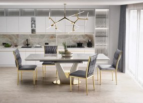 Krzesło tapicerowane K436 VELVET szare/złote HALMAR