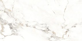 Mexen Scordia Grey gres szkliwiony rekt. G1, płytka podłogowo-ścienna 120 x 60 cm, połysk - TL125-120-060-00