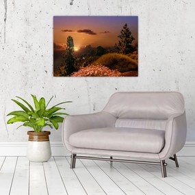 Obraz na szkle - natura z zachodem słońca (70x50 cm)