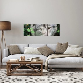 Obraz - Portret wilka (z zegarem) (90x30 cm)