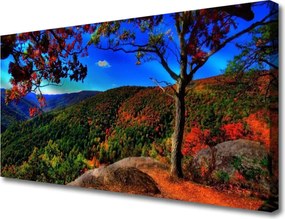 Obraz na płótnie Szczyty Gór w Gęstym Lesie