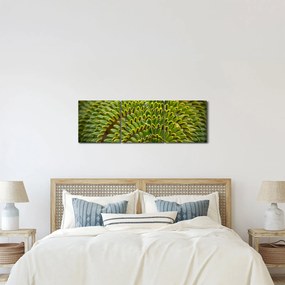 Obraz - Paproć (z zegarem) (90x30 cm)
