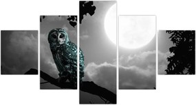 Obraz - Nocna sowa, niebieski (125x70 cm)