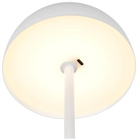 Lampa stołowa LED w matowym białym kolorze z metalowym kloszem (wysokość 21 cm) Munoz – Trio