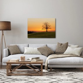 Obraz zachodu słońca na łące (70x50 cm)