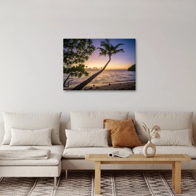 Obraz palmy na plaży (70x50 cm)