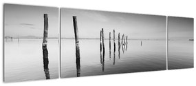 Obraz czarno - białej powierzchni wody (170x50 cm)