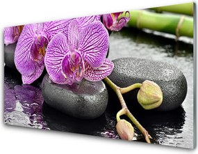 Panel Szklany Wyrafinowany Storczyk w Stylu Spa