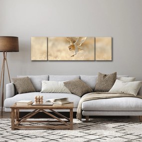 Obraz - Sowa Płomykówka (170x50 cm)