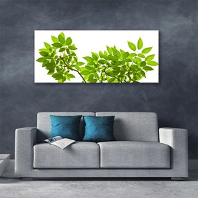 Obraz canvas Botaniczny Detal Roślinny