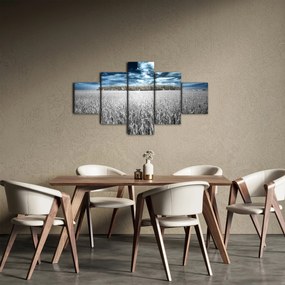 Obraz pola (125x70 cm)