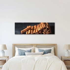 Obraz cynamonu (170x50 cm)