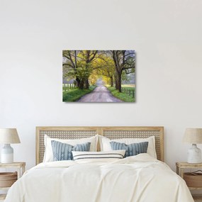Zdjęcie - Smoky Mountains, Gatlinburg, USA (70x50 cm)