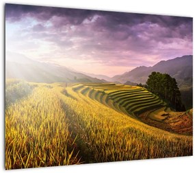 Obraz na szkle krajobrazu (70x50 cm)
