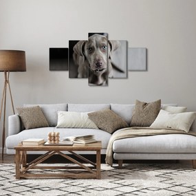 Obraz szczeniaka (125x70 cm)