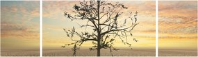 Obraz - Drzewo na pustyni (170x50 cm)