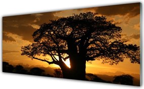 Dekor Szklany do Kuchni Stary Dąb W Polu