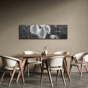 Obraz - Trawa bawełniana (170x50 cm)