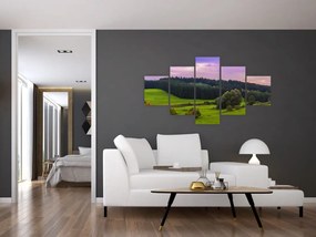 Obraz łąki (125x70 cm)