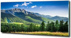 Foto obraz szklany Skocznia w Tatrach