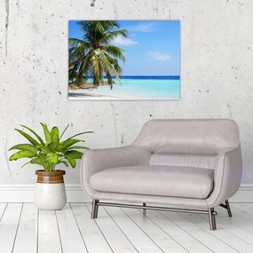 Obraz na szkle - palma na plaży (70x50 cm)
