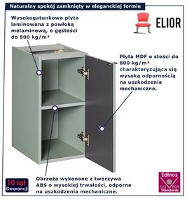 Szałwiowa wisząca dolna szafka łazienkowa F2-F30