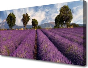 Zdjęcie na płótnie Sielska Polana z Drzewami