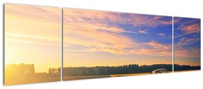 Obraz żółtego samochodu na polu (170x50 cm)