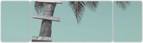 Obraz - Palma na Karaibach (170x50 cm)