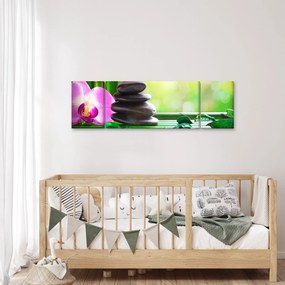 Obraz kamieni do masażu i storczyków na wodzie (170x50 cm)