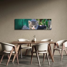 Obraz kotków (170x50 cm)